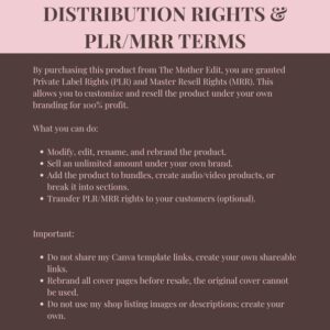 Faceless Creator Business Kit – Plug-and-Play PLR & MRR Digital Products + Canva Templates for Passive Income